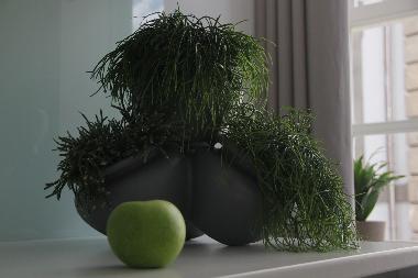 Appartement de vacances /en/au Guimares (Norte)ou appartement ou maison de vacances