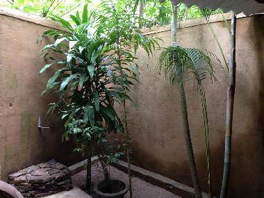 Maison de vacances /en/au Tangalle (Matara)ou appartement ou maison de vacances