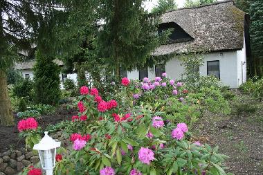 Appartement de vacances /en/au Soltau (Lneburger Heide)ou appartement ou maison de vacances