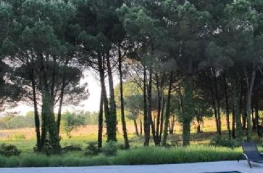 Villa /en/au Gassin (Alpes-Maritimes)ou appartement ou maison de vacances