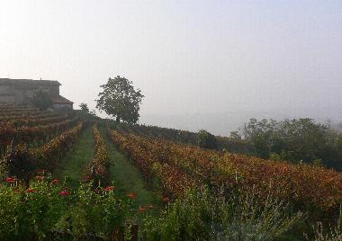 Appartement de vacances �/en/au Nizza Monferrato (Asti)ou appartement ou maison de vacances