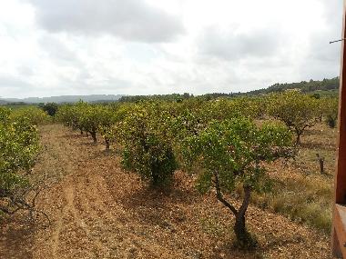 Villa /en/au La Bisbal del Penedes (Tarragona)ou appartement ou maison de vacances