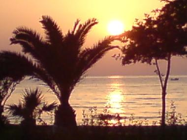 Maison de vacances �/en/au Guzelcamli (Aydin)ou appartement ou maison de vacances