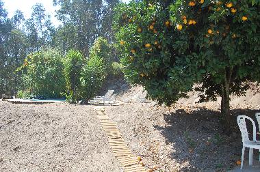 Maison de vacances /en/au Vila Boa de Quires (Norte)ou appartement ou maison de vacances