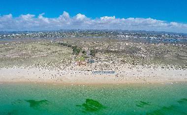 Appartement de vacances �/en/au Santa Luzia (Algarve)ou appartement ou maison de vacances