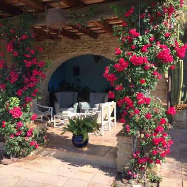 Maison de vacances /en/au Saus Camallera Camallera (Girona)ou appartement ou maison de vacances