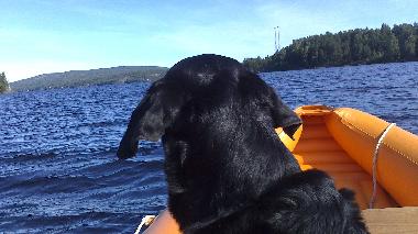 Appartement de vacances �/en/au Lunde (�ngermanland)ou appartement ou maison de vacances