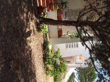 Appartement de vacances �/en/au Olbia (Olbia-Tempio)ou appartement ou maison de vacances