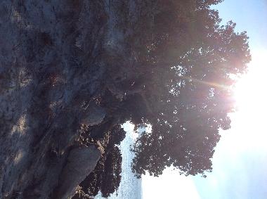 Appartement de vacances �/en/au Olbia (Olbia-Tempio)ou appartement ou maison de vacances