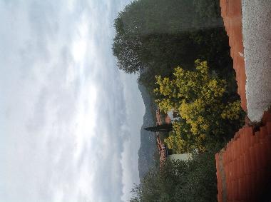 Appartement de vacances �/en/au Olbia (Olbia-Tempio)ou appartement ou maison de vacances