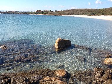 Appartement de vacances �/en/au Olbia (Olbia-Tempio)ou appartement ou maison de vacances