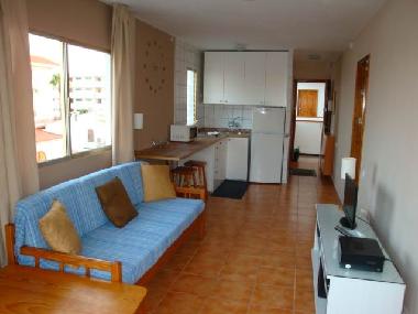 Appartement de vacances �/en/au PLAYA DEL INGLES (Gran Canaria)ou appartement ou maison de vacances