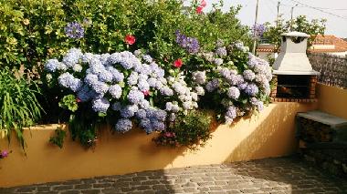 Appartement de vacances /en/au Prazeres (Madeira)ou appartement ou maison de vacances