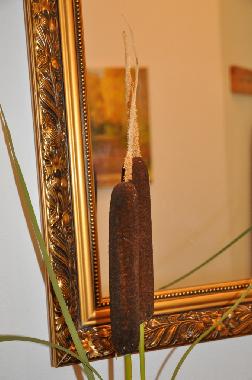 Appartement de vacances �/en/au Falkenstein (Oberpfalz)ou appartement ou maison de vacances