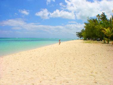 Villa �/en/au Le Morne (Black River)ou appartement ou maison de vacances