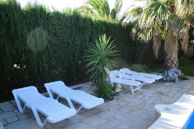 chaises longues au bord de la piscine
