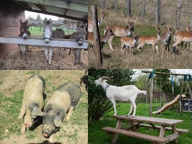 Maison de vacances /en/au colleville (Seine-Maritime)ou appartement ou maison de vacances