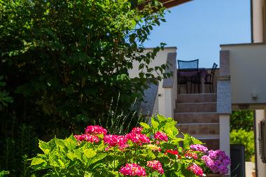 Appartement de vacances /en/au Mali Losinj (Primorsko-Goranska)ou appartement ou maison de vacances
