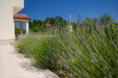Appartement de vacances /en/au Mali Losinj (Primorsko-Goranska)ou appartement ou maison de vacances