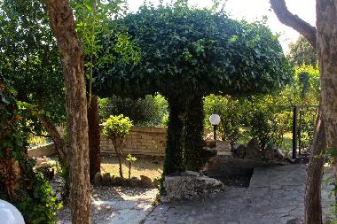 Appartement de vacances /en/au Rocca D