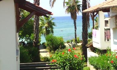 Maison de vacances �/en/au Avsallar (Antalya)ou appartement ou maison de vacances