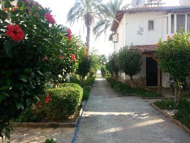 Maison de vacances �/en/au Avsallar (Antalya)ou appartement ou maison de vacances