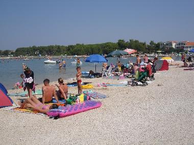 Maison de vacances /en/au Vir (Zadarska)ou appartement ou maison de vacances