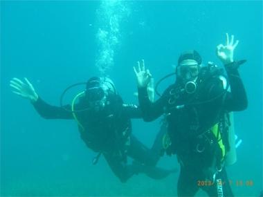 Maison de vacances /en/au Vir (Zadarska)ou appartement ou maison de vacances