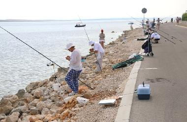 Maison de vacances /en/au Vir (Zadarska)ou appartement ou maison de vacances