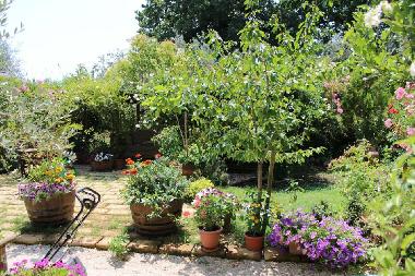 Maison de vacances /en/au amelia (Terni)ou appartement ou maison de vacances