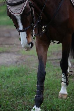 Appartement de vacances �/en/au Saint Nicolas (Valle d