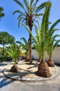 Villa /en/au Mellieha (Malte)ou appartement ou maison de vacances