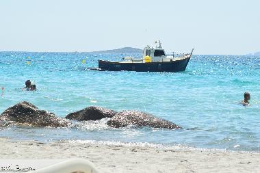 Appartement de vacances /en/au Santa Maria Poggio (Haute-Corse)ou appartement ou maison de vacances