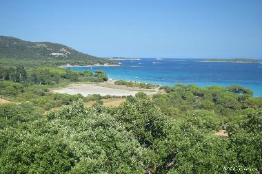 Appartement de vacances /en/au Santa Maria Poggio (Haute-Corse)ou appartement ou maison de vacances