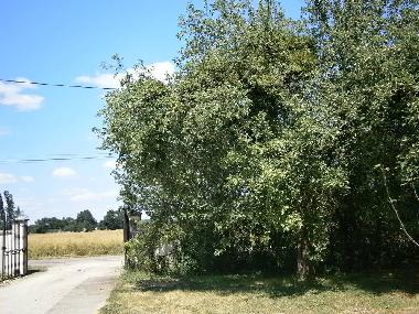 Maison de vacances �/en/au sennecey legrand (Sa�ne-et-Loire)ou appartement ou maison de vacances