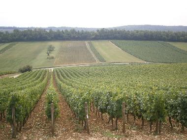 Maison de vacances �/en/au sennecey legrand (Sa�ne-et-Loire)ou appartement ou maison de vacances