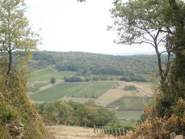 Maison de vacances �/en/au sennecey legrand (Sa�ne-et-Loire)ou appartement ou maison de vacances