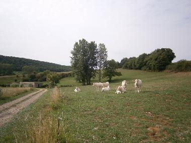 Maison de vacances �/en/au sennecey legrand (Sa�ne-et-Loire)ou appartement ou maison de vacances