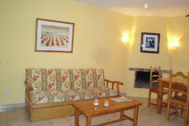 salon avec chemine et canap lit