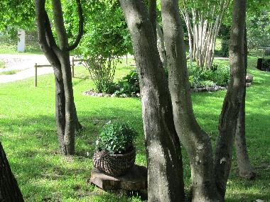 Chalet �/en/au Skulte (Lettland)ou appartement ou maison de vacances