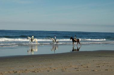 Appartement de vacances �/en/au Arachania (Rocha)ou appartement ou maison de vacances