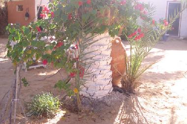 Maison de vacances �/en/au douz (Qibili)ou appartement ou maison de vacances