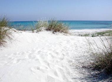 Appartement de vacances �/en/au Posada (Nuoro)ou appartement ou maison de vacances