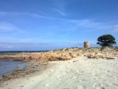 Chambre avec petit djeuner /en/au Posada (Nuoro)ou appartement ou maison de vacances