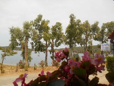 Maison de vacances /en/au milina (Magnisia)ou appartement ou maison de vacances