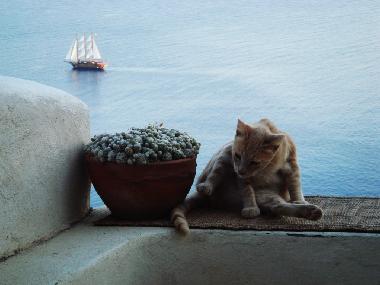 Maison de vacances /en/au oia (Kyklades)ou appartement ou maison de vacances