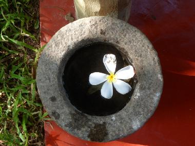 Maison de vacances /en/au Weligama (Matara)ou appartement ou maison de vacances