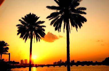 Maison de vacances �/en/au Miami Beach (Florida)ou appartement ou maison de vacances