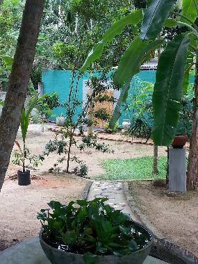 Maison de vacances �/en/au Hikkaduwa-Gonipinuwala (Galle)ou appartement ou maison de vacances