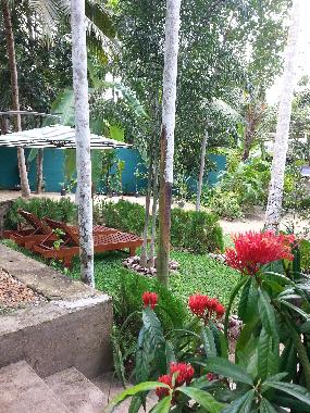 Maison de vacances �/en/au Hikkaduwa-Gonipinuwala (Galle)ou appartement ou maison de vacances